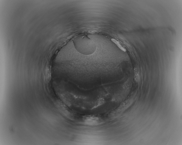 X0000115050471200911091429