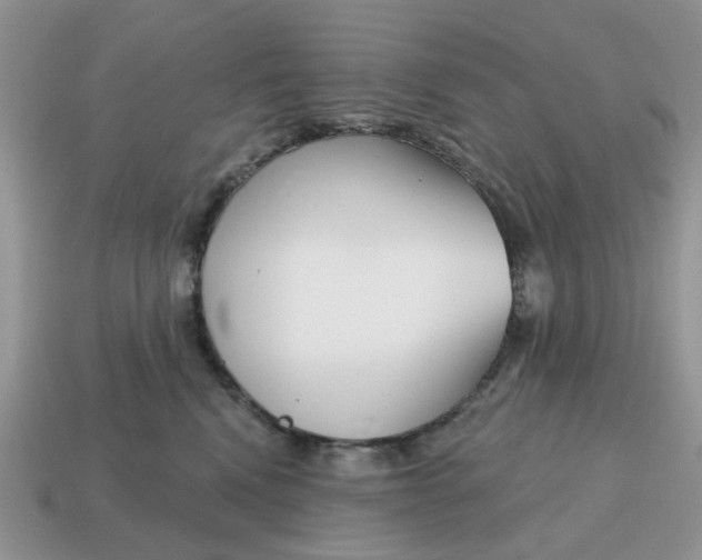 X0000115050472200911091429