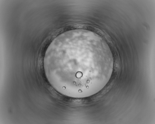 X0000115050473200911091429