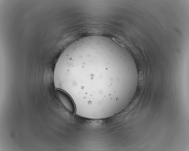 X0000115050474200911091429