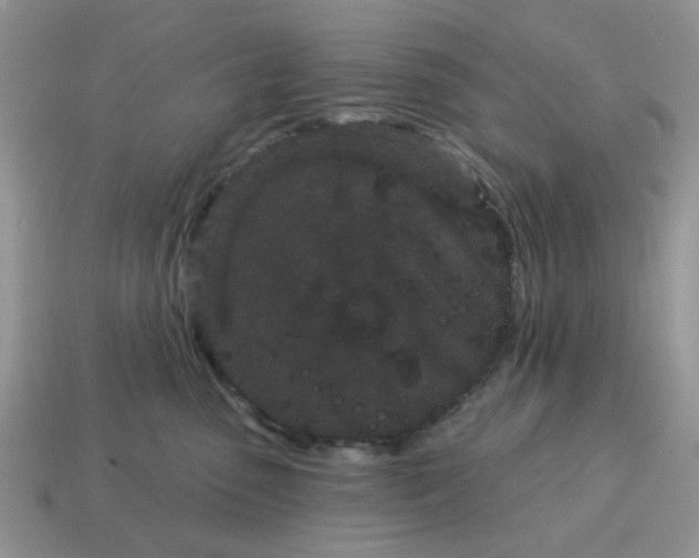 X0000115050475200911091429