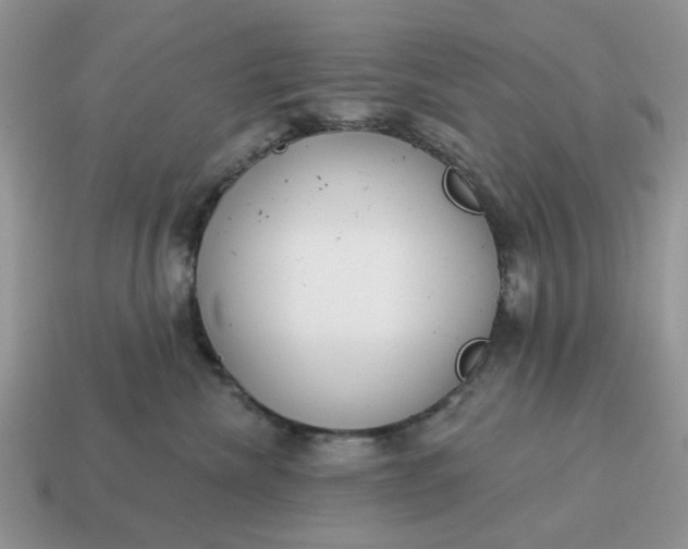 X0000115050476200911091429