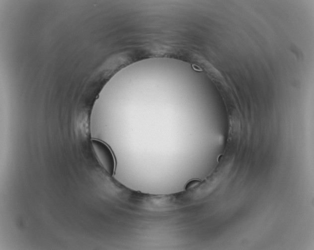 X0000115050479200911091429