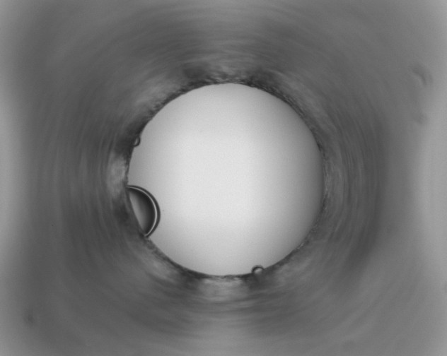 X0000115050480200911091429