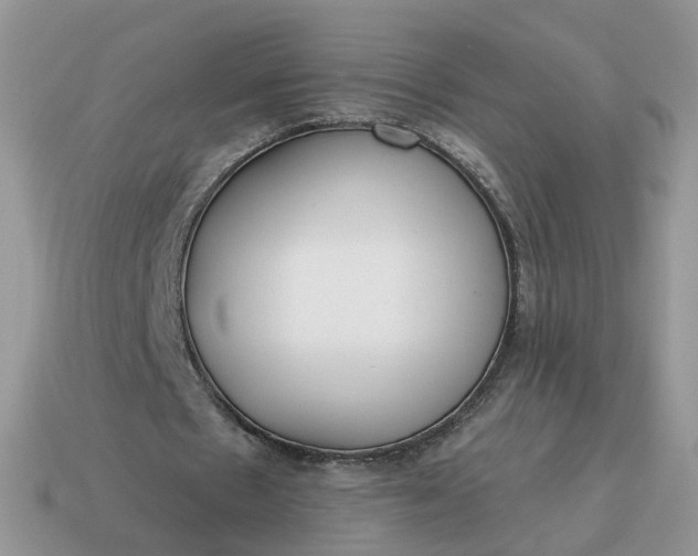 X0000115050481200911091428