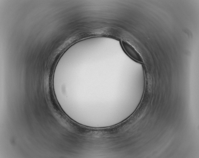 X0000115050482200911091428