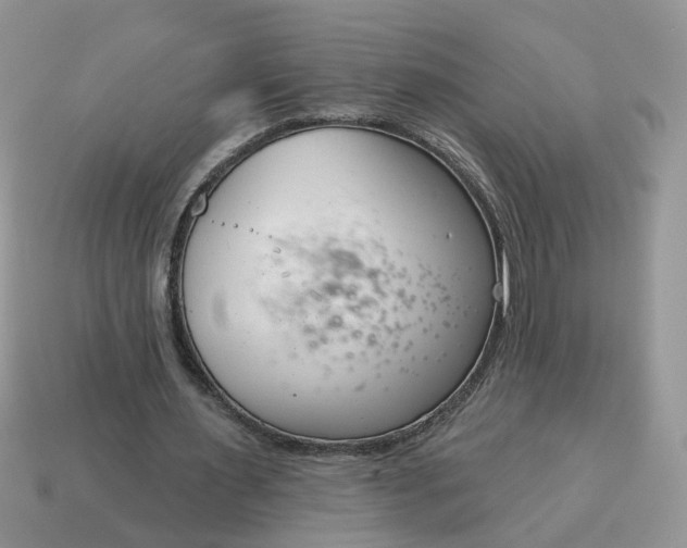 X0000115050483200911091428