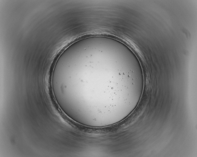 X0000115050485200911091428
