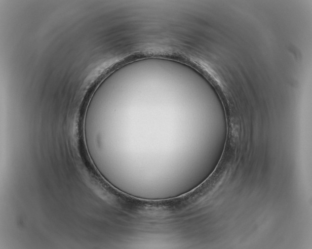 X0000115050487200911091428