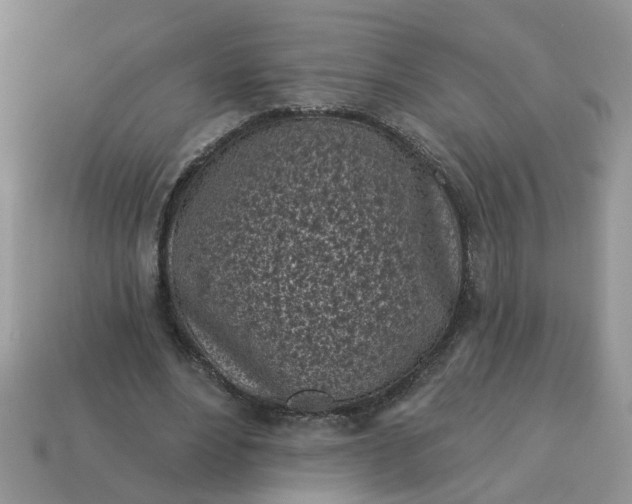 X0000115050488200911091428