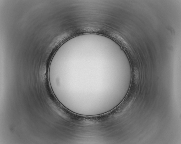 X0000115050490200911091428