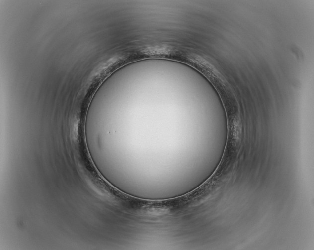 X0000115050491200911091428