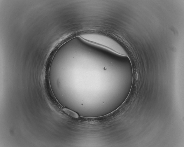 X0000115050492200911091428