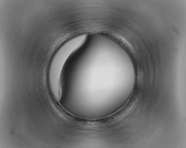 X0000115050493200911091428