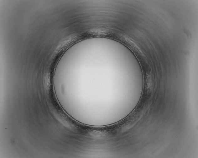 X0000115050494200911091428