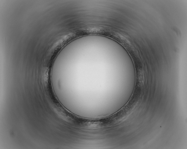 X0000115050495200911091428