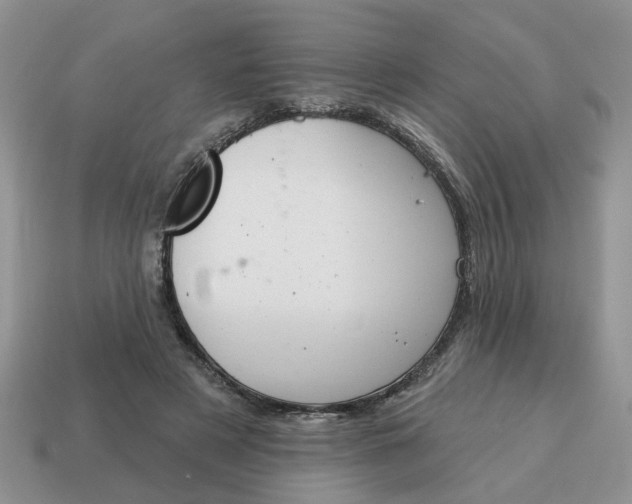 X0000115050497200911091428