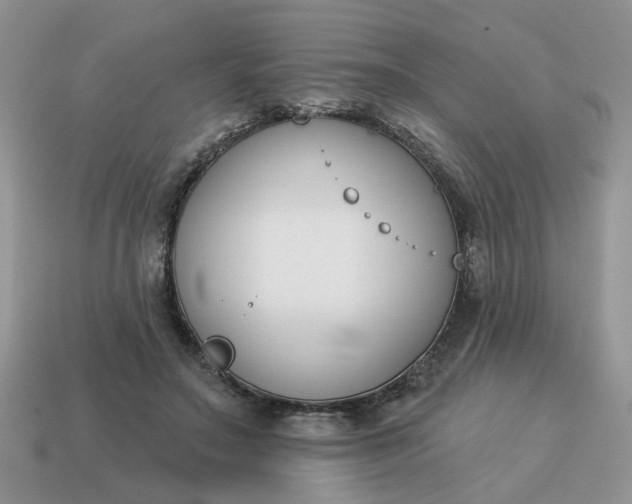 X0000115050499200911091428