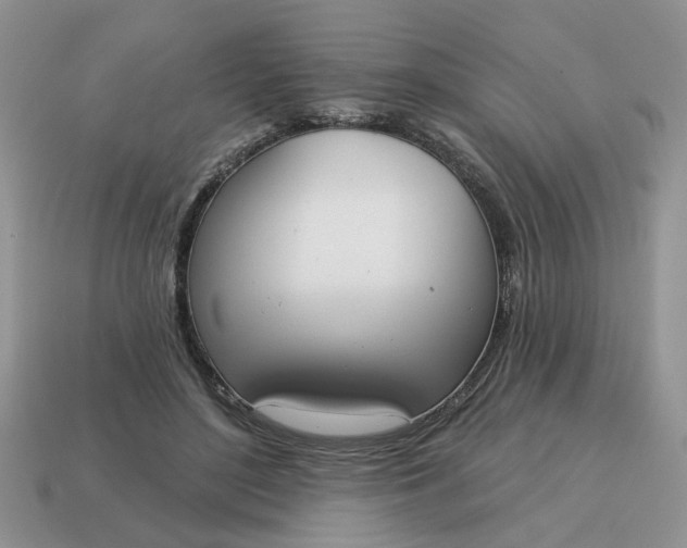X0000115050500200911091428