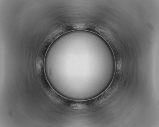 X0000115050503200911091428