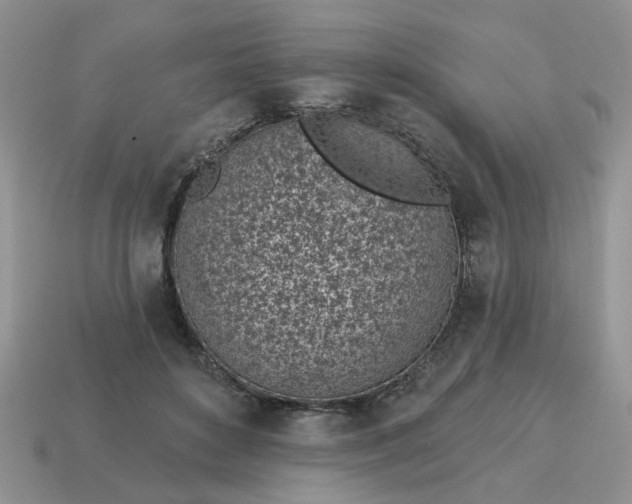 X0000115050504200911091428