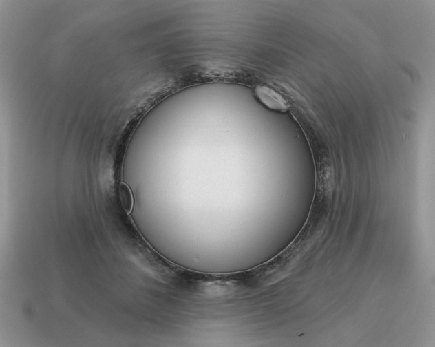 X0000115050508200911091428