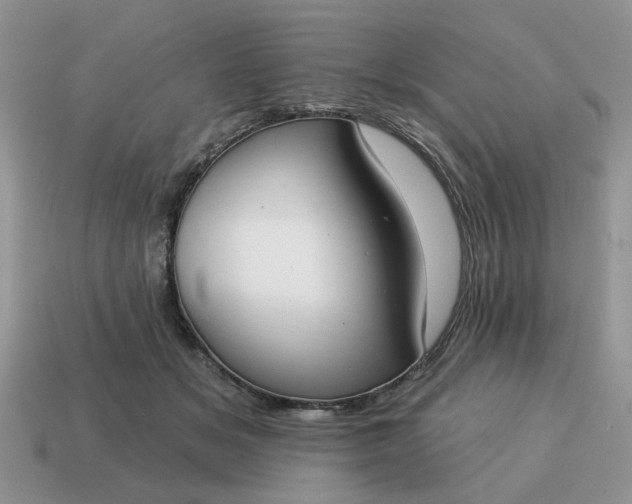 X0000115050509200911091428