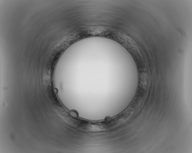 X0000115050510200911091428