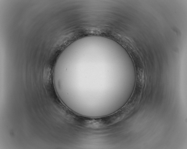 X0000115050511200911091428