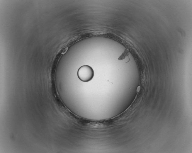 X0000115050512200911091428