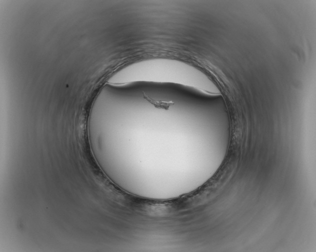 X0000115050513200911091428