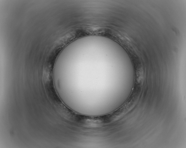 X0000115050515200911091428