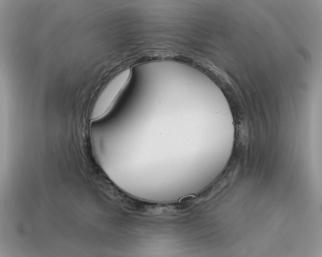X0000115050517200911091428