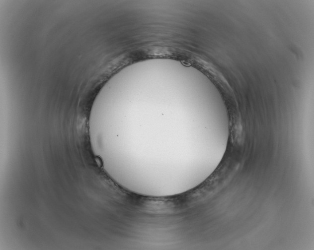 X0000115050521200911091428