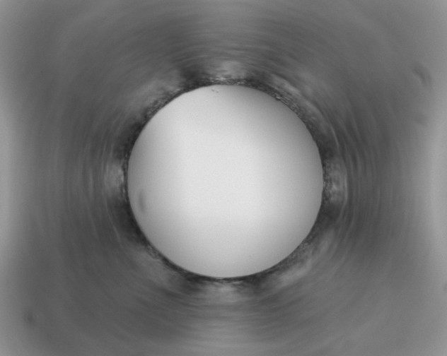 X0000115050523200911091428