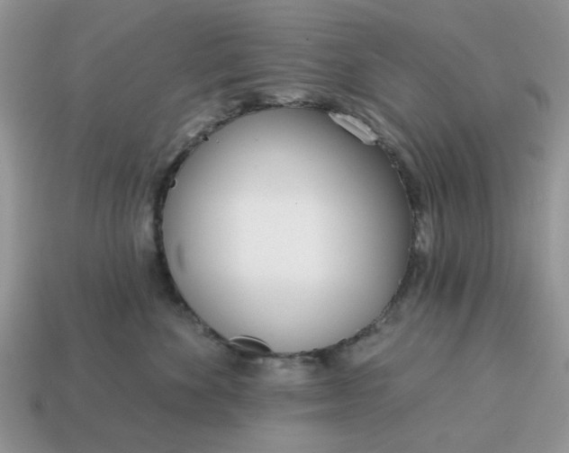 X0000115050524200911091428