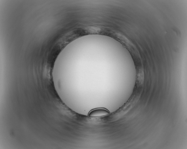 X0000115050525200911091428