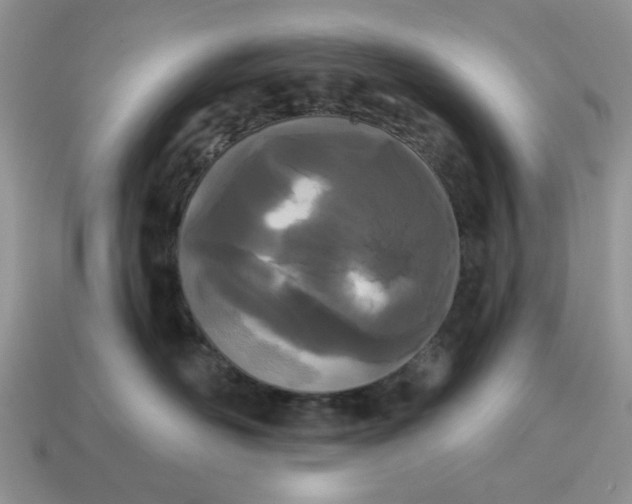 X0000115050526200911091428
