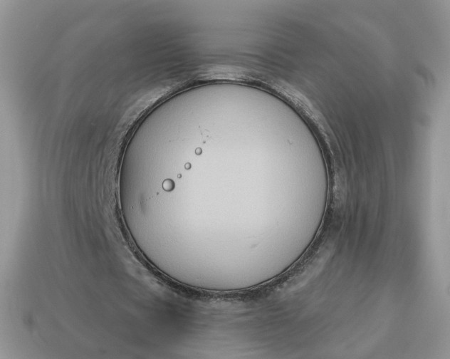 X0000115050529200911091427