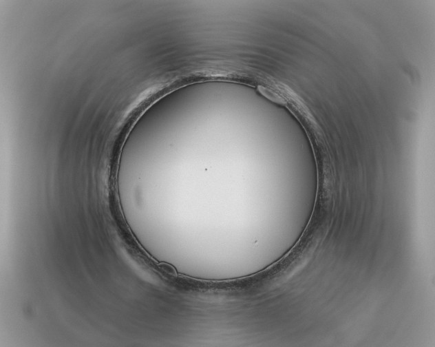 X0000115050530200911091427