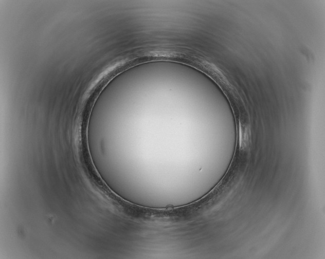 X0000115050531200911091427