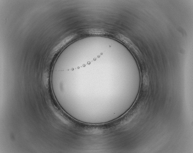 X0000115050533200911091427