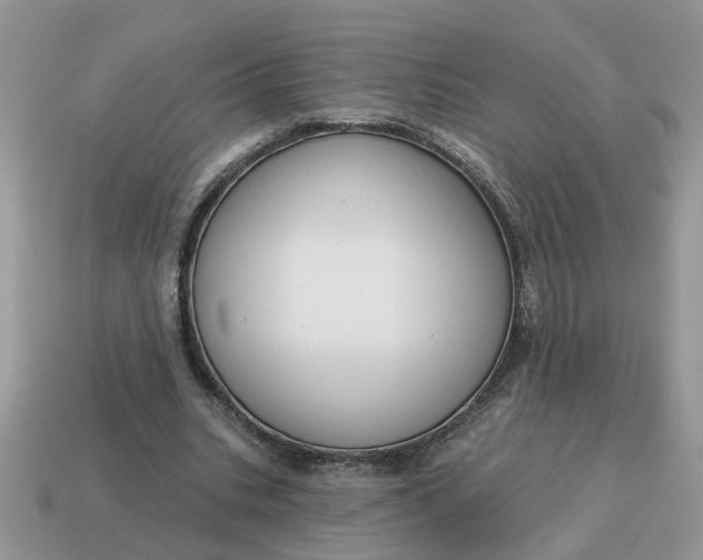 X0000115050535200911091427