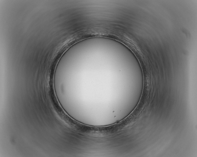 X0000115050538200911091427