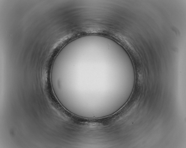 X0000115050539200911091427