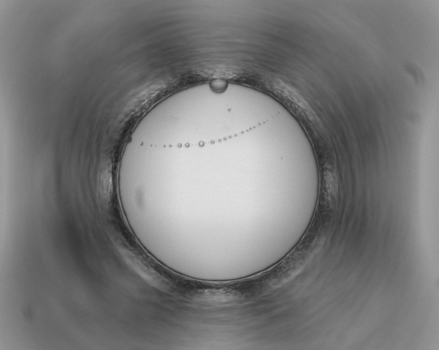 X0000115050541200911091427