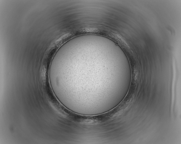 X0000115050542200911091427