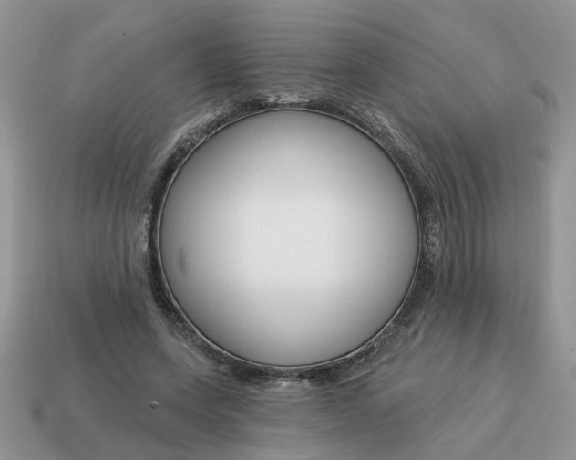 X0000115050543200911091427
