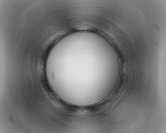 X0000115050547200911091427
