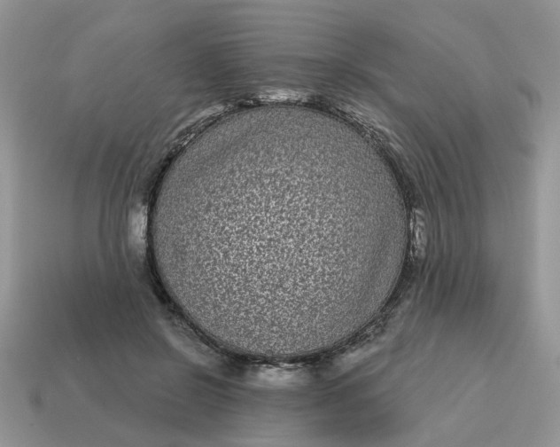 X0000115050550200911091427